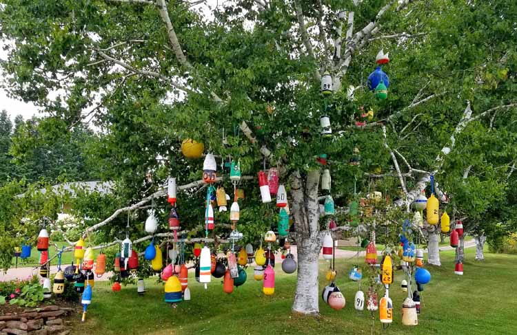 buoy tree